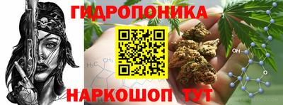 spice Краснокаменск