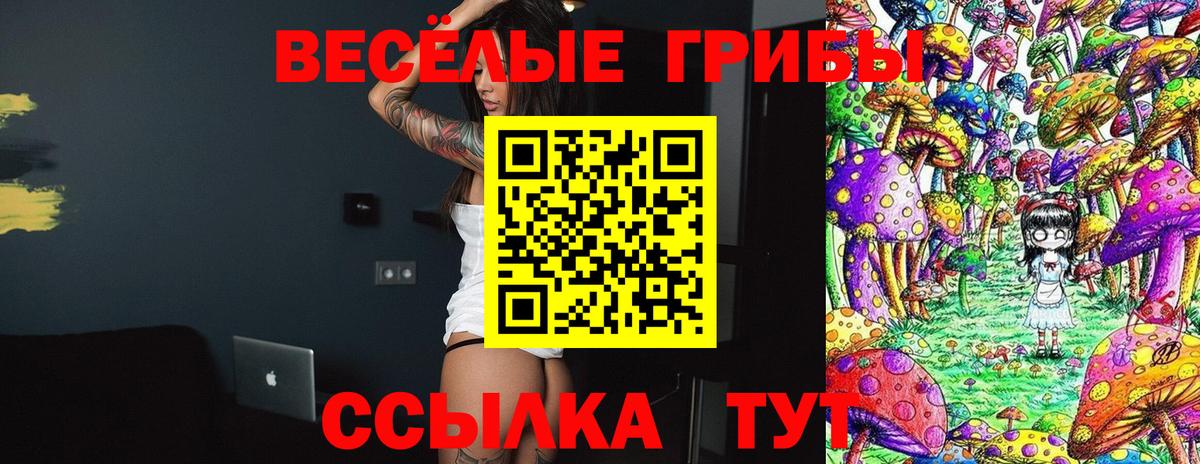 Псилоцибиновые грибы мухоморы Кемерово
