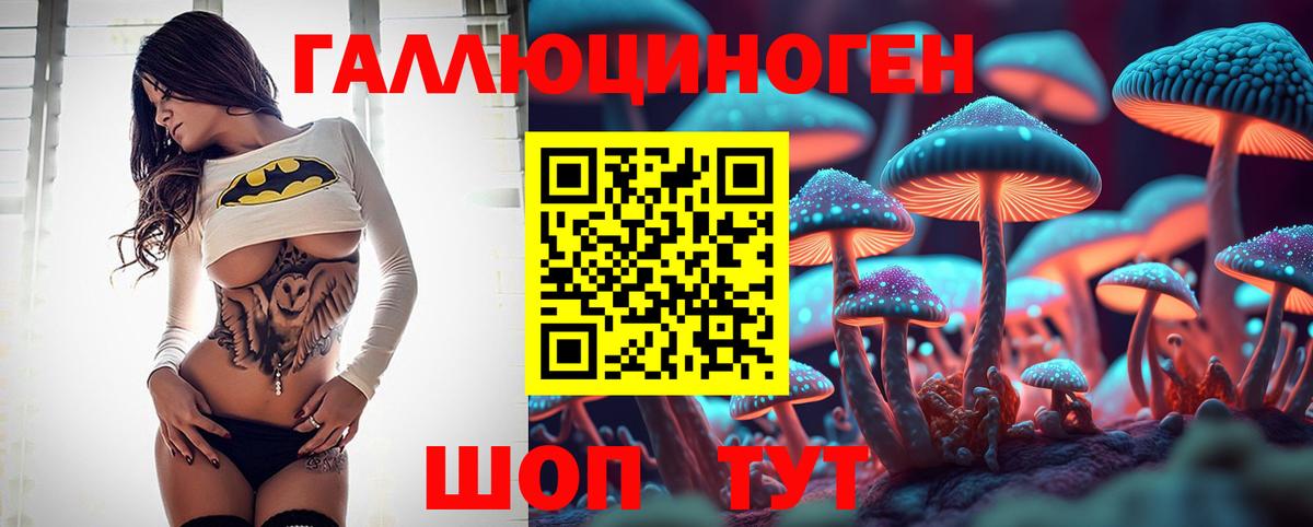 Кемерово  закладки  Вход с VPN  Галлюциногенные грибы MAGIC MUSHROOMS  Галлюциногенные грибы Cubensis 